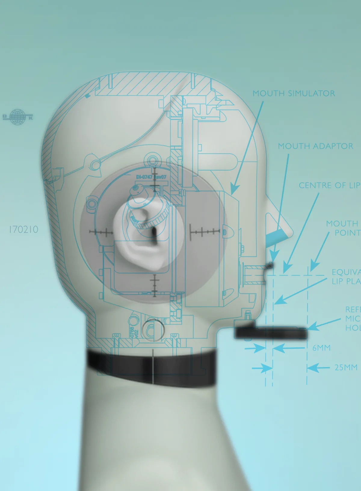 Cutaway diagram of the Brüel & Kjær head and torso simulator